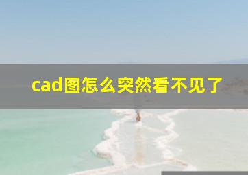 cad图怎么突然看不见了