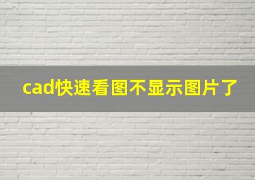 cad快速看图不显示图片了