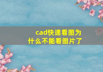 cad快速看图为什么不能看图片了