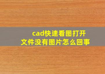 cad快速看图打开文件没有图片怎么回事