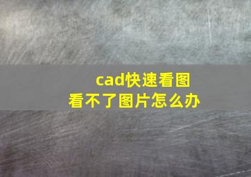 cad快速看图看不了图片怎么办