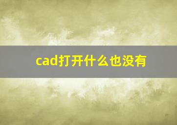 cad打开什么也没有