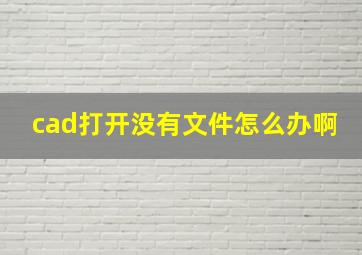 cad打开没有文件怎么办啊