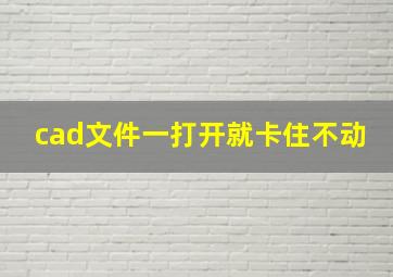 cad文件一打开就卡住不动