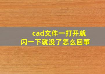 cad文件一打开就闪一下就没了怎么回事