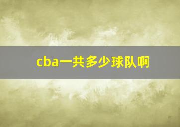 cba一共多少球队啊