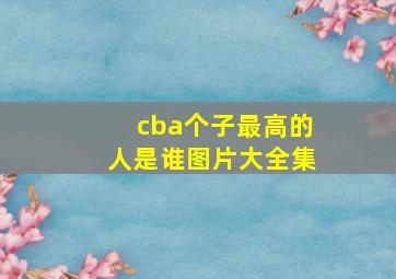 cba个子最高的人是谁图片大全集