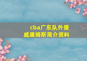 cba广东队外援威廉姆斯简介资料