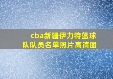 cba新疆伊力特篮球队队员名单照片高清图