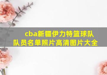 cba新疆伊力特篮球队队员名单照片高清图片大全