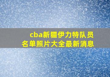 cba新疆伊力特队员名单照片大全最新消息