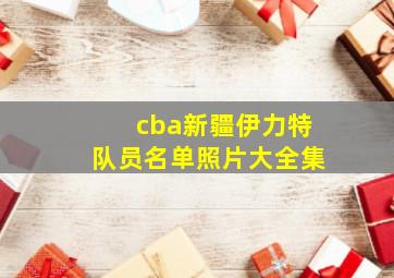 cba新疆伊力特队员名单照片大全集