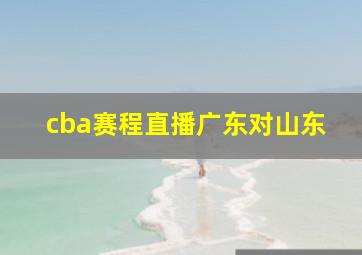 cba赛程直播广东对山东