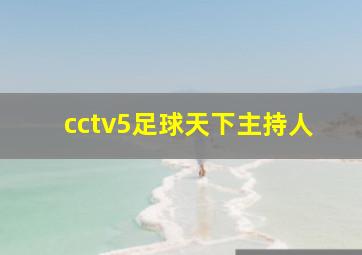 cctv5足球天下主持人