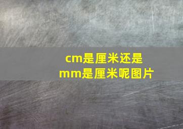 cm是厘米还是mm是厘米呢图片