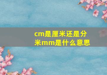 cm是厘米还是分米mm是什么意思