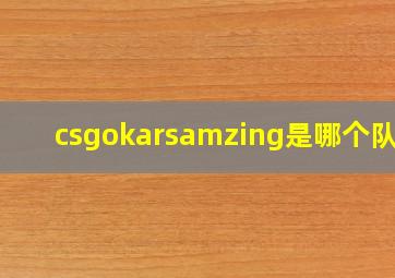 csgokarsamzing是哪个队的