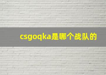 csgoqka是哪个战队的