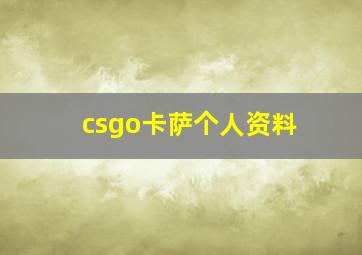 csgo卡萨个人资料