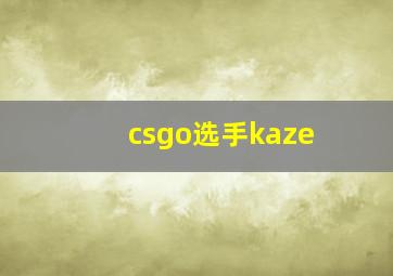 csgo选手kaze