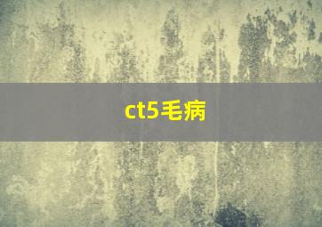 ct5毛病