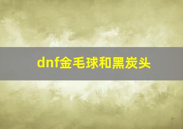 dnf金毛球和黑炭头