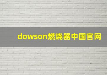 dowson燃烧器中国官网