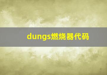 dungs燃烧器代码