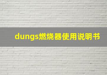 dungs燃烧器使用说明书