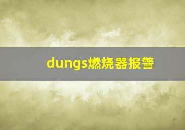 dungs燃烧器报警