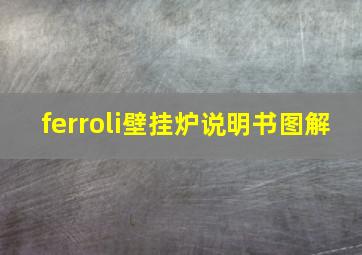 ferroli壁挂炉说明书图解