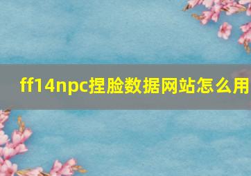 ff14npc捏脸数据网站怎么用