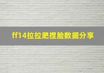 ff14拉拉肥捏脸数据分享