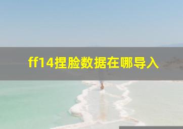 ff14捏脸数据在哪导入