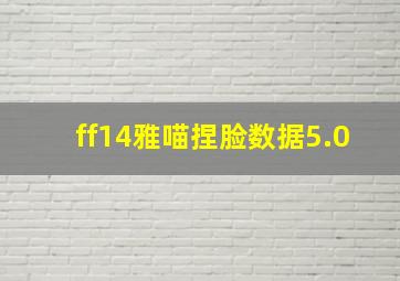 ff14雅喵捏脸数据5.0