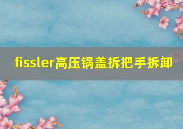 fissler高压锅盖拆把手拆卸