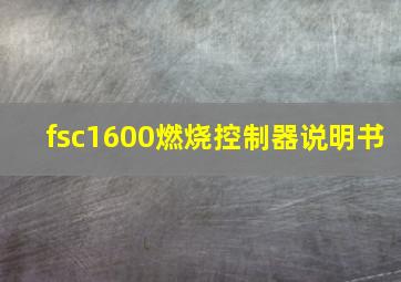 fsc1600燃烧控制器说明书