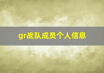 gr战队成员个人信息