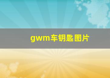 gwm车钥匙图片