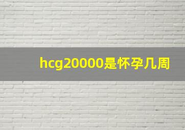 hcg20000是怀孕几周