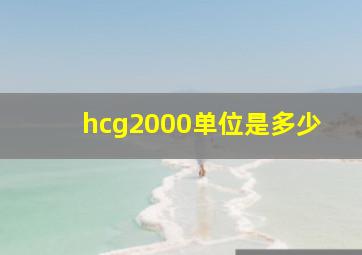 hcg2000单位是多少