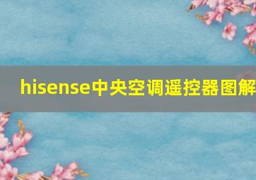 hisense中央空调遥控器图解