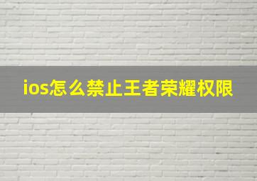 ios怎么禁止王者荣耀权限