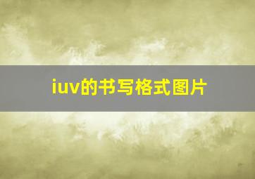 iuv的书写格式图片