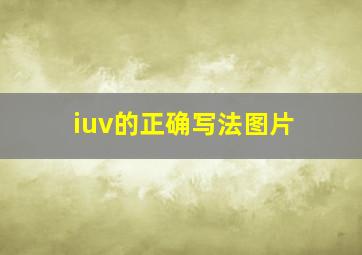 iuv的正确写法图片