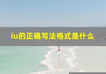 iu的正确写法格式是什么