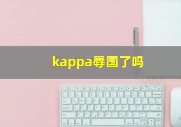 kappa辱国了吗