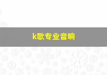 k歌专业音响