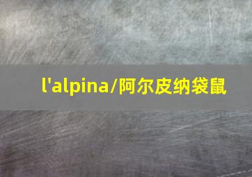 l'alpina/阿尔皮纳袋鼠