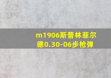 m1906斯普林菲尔德0.30-06步枪弹